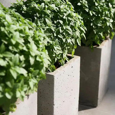 Hotel Soso Anastasia Star 4*