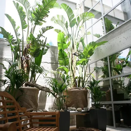 Soso Anastasia Star Hotel 4*