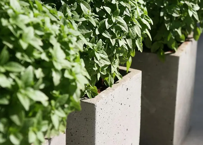 Hotel Soso Anastasia Star 4*