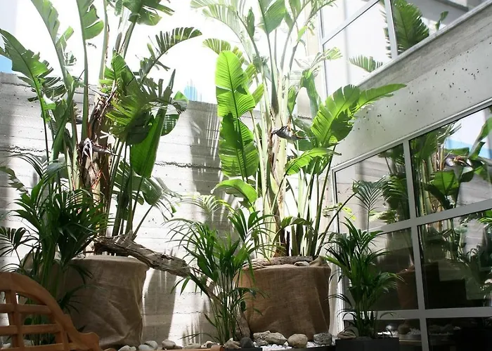 Soso Anastasia Star Ξενοδοχείο 4*